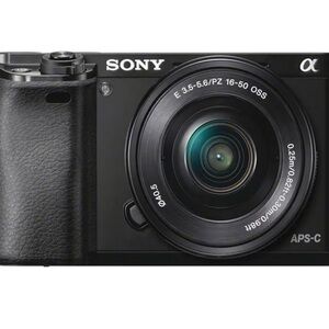 Sony Alpha a6000 Mirrorless Digital Camera